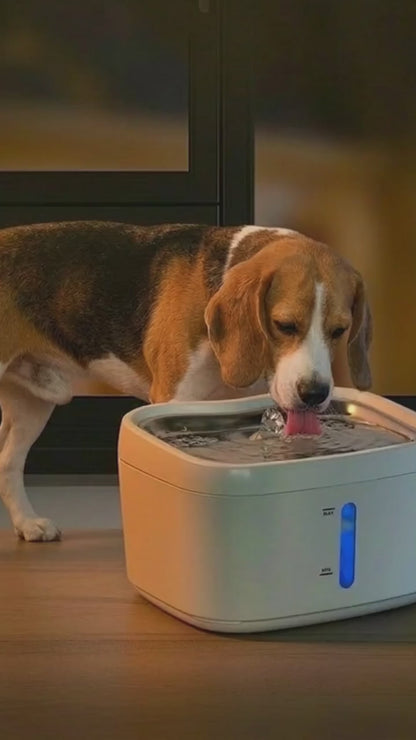 « De l'eau fraîche et filtrée, 24 heures sur 24 »