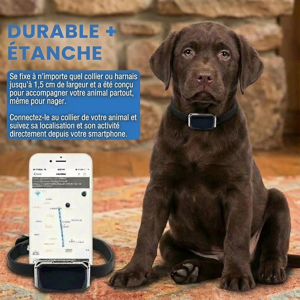 G12 GPS Tracker pour Chiens et Chats – Suivi en Temps Réel