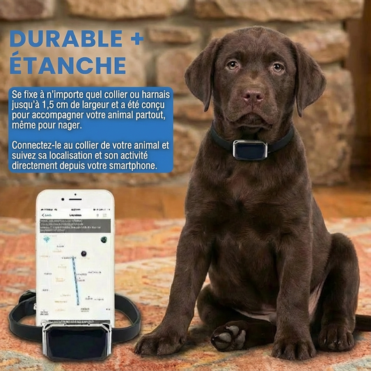G12 GPS Tracker pour Chiens et Chats – Suivi en Temps Réel