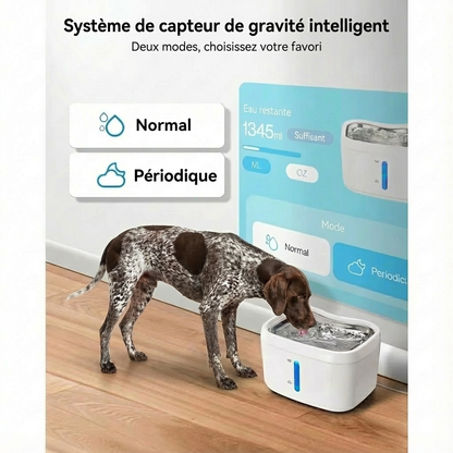 « De l'eau fraîche et filtrée, 24 heures sur 24 »