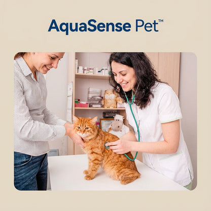 « De l'eau fraîche et filtrée, 24 heures sur 24 »